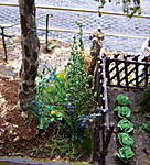 4346Altstadtdiorama_29_07_13_k.jpg
