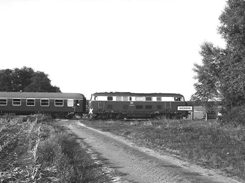 Lollo auf dem Weg nach Eystrup