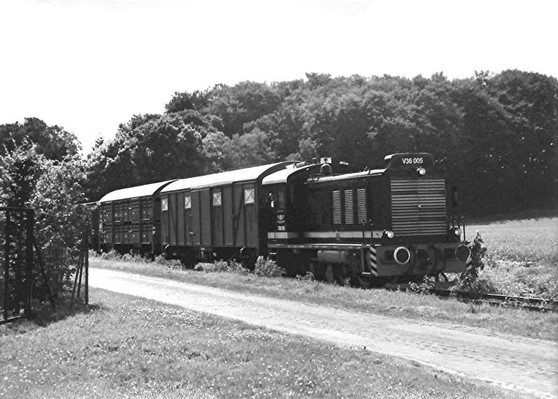 DEV V36 005 in Ünzen