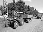 3560Eystrup_2014_Lanz_sw.jpg