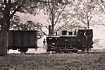 3560Pfingsten_Kleinbahn_2013_Hoya_sw.jpg