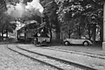 3560Pfingsten_Kleinbahn_2013_adler_sw.jpg