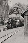 3560Pfingsten_Kleinbahn_2013_hoya_heiligenbg_sw.jpg