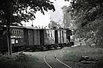 3560Pfingsten_Kleinbahn_2013_spreewald_sw2.jpg