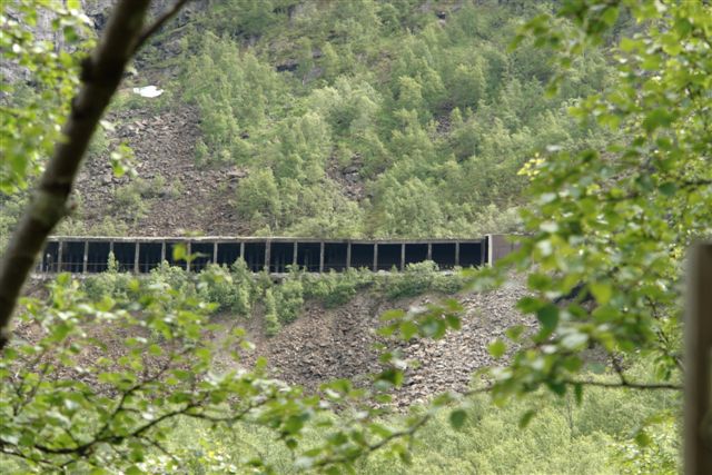 Ofot-Bahn_0873
