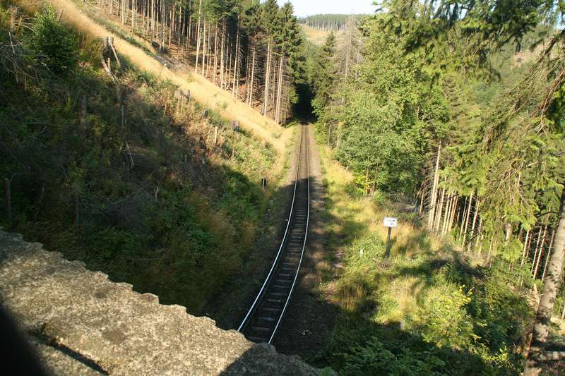 Auf_dem_Thumkuhlenkopf