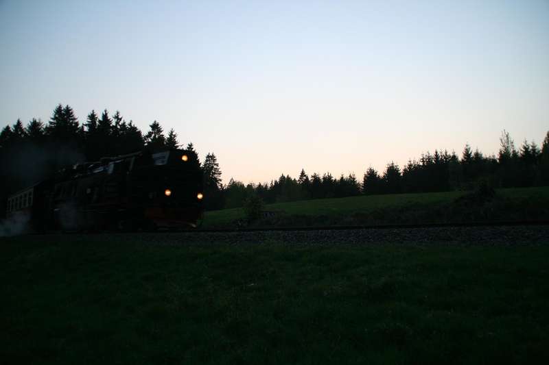 Haferfeld4
