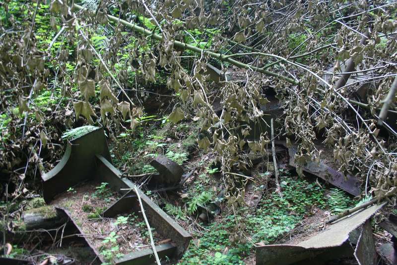 Rateschmal_18_07_12