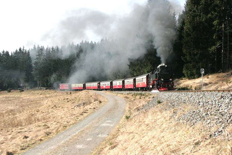 Sorge_im_Fr_hjahr_2
