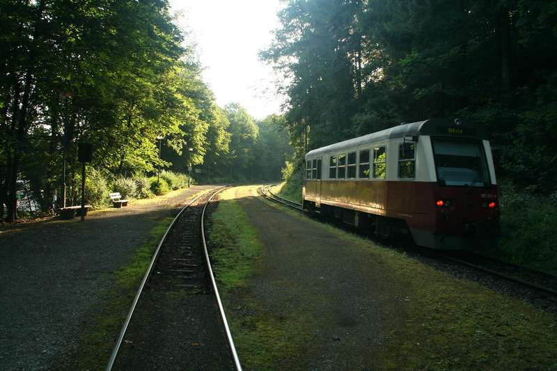 Steinerne_Renne