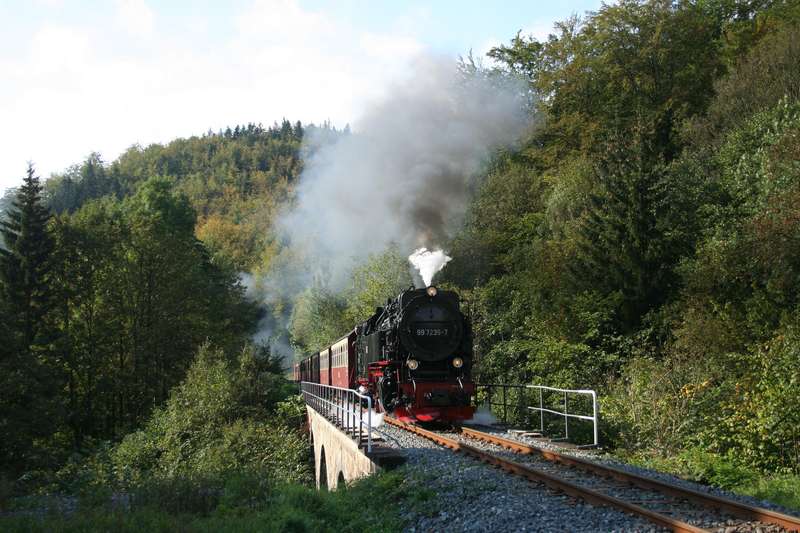 Viadukt_Ilfeld