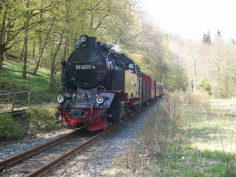 vor_Alexisbad