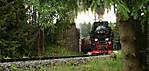 2967Sorge-SHE.jpg