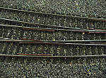590Herzst_ck_2_und_3.jpg