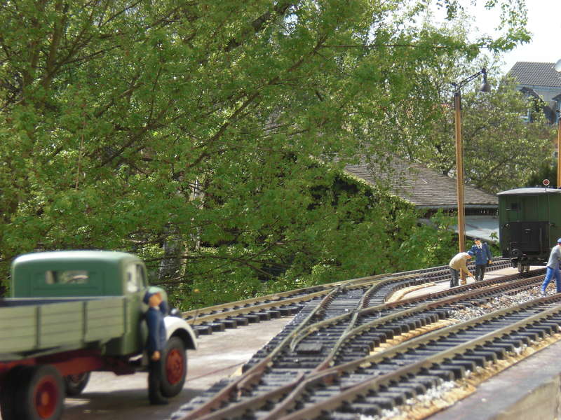 CIMG3090