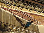3971CIMG2505.JPG