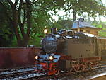 3971CIMG5272.JPG