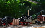 3971DSC_9312.jpg