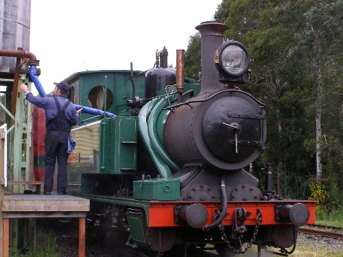Wilderness_Train