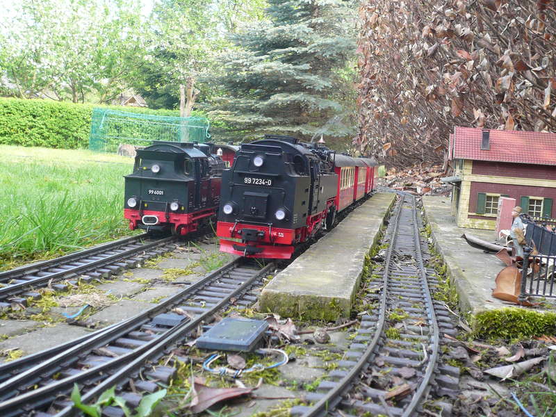 Ballerina &amp; Neubaulok in Tiefenbach