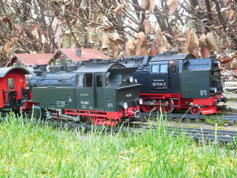 LGB_Sommer_2009_2_