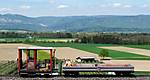 741IMG_3072small.jpg