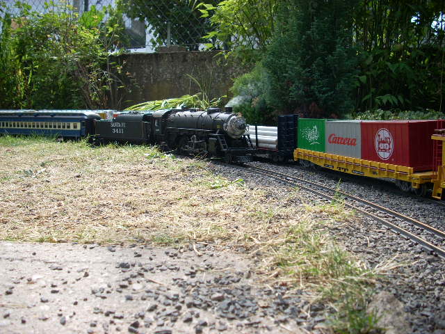 4-6-2 mit gastwagen:-)