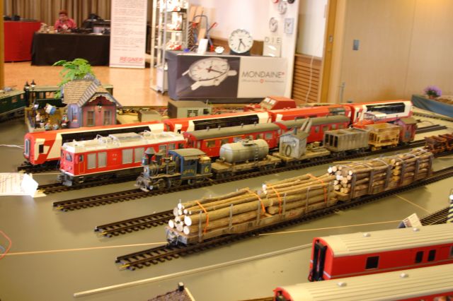 Freienbach003