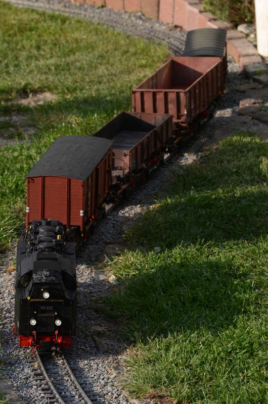 DSC_3551