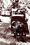 397199_222_a.jpg