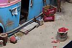 4188IMG_0879-1-1.jpg