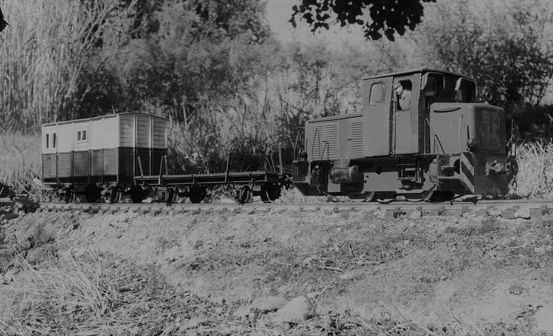 Schöma Inseldiesel