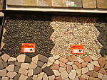 3557DSC00012.JPG