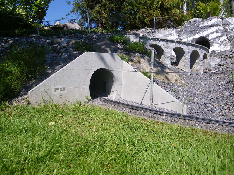 IMGP1869