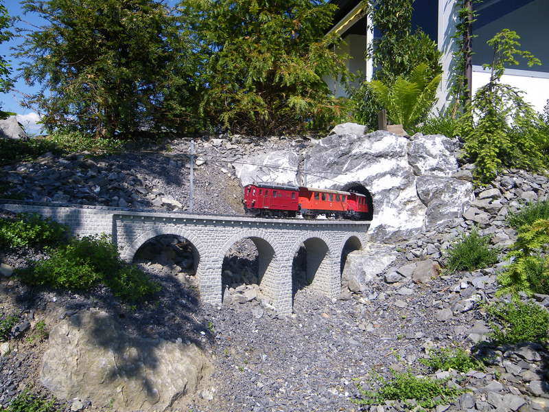 IMGP1871