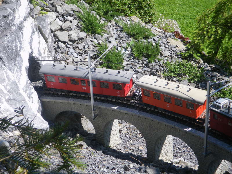 IMGP1873