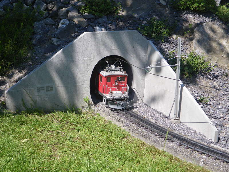 IMGP1881