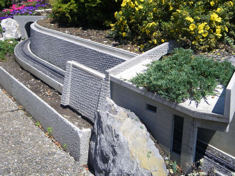 IMGP1975