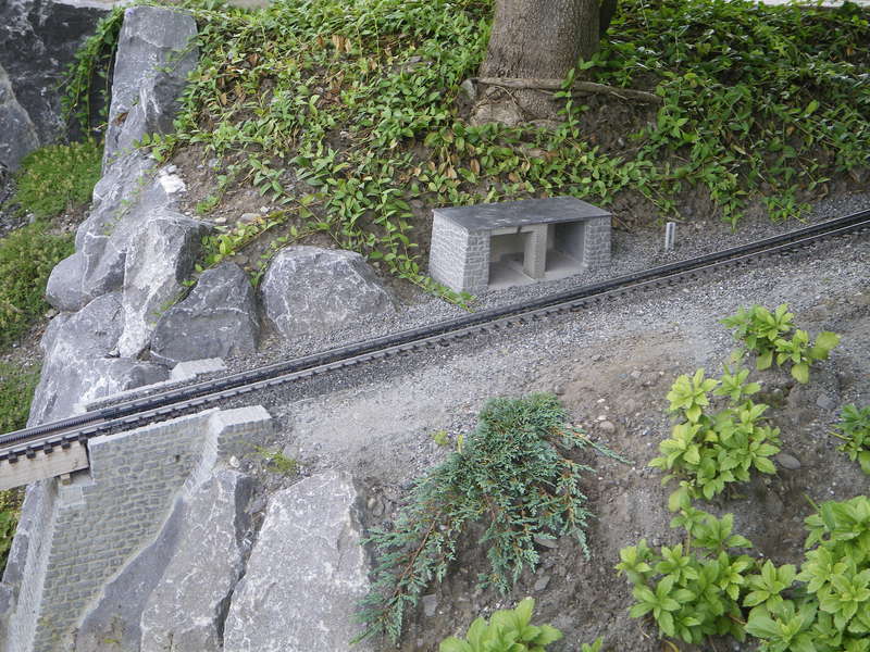 IMGP1978