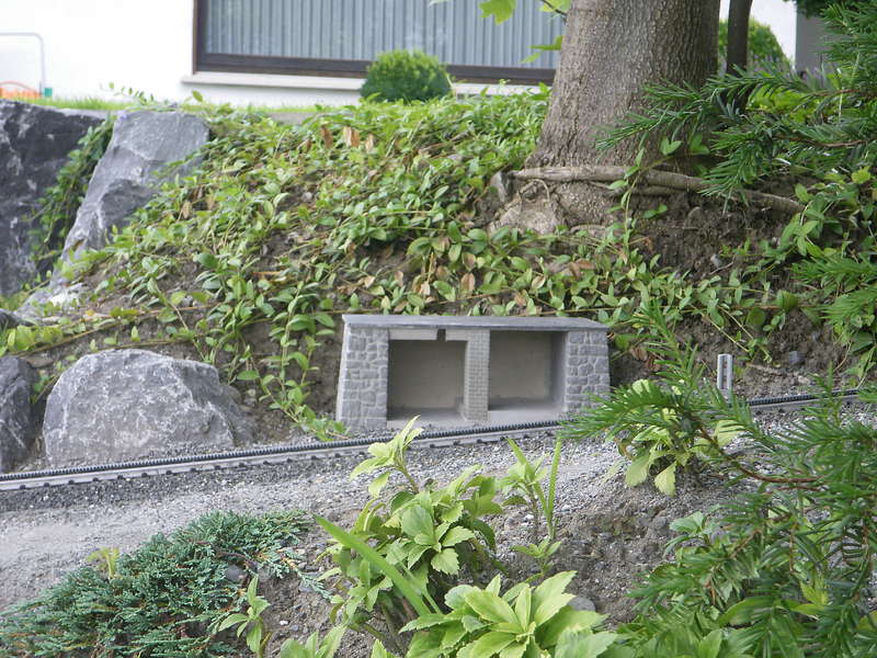 IMGP1980