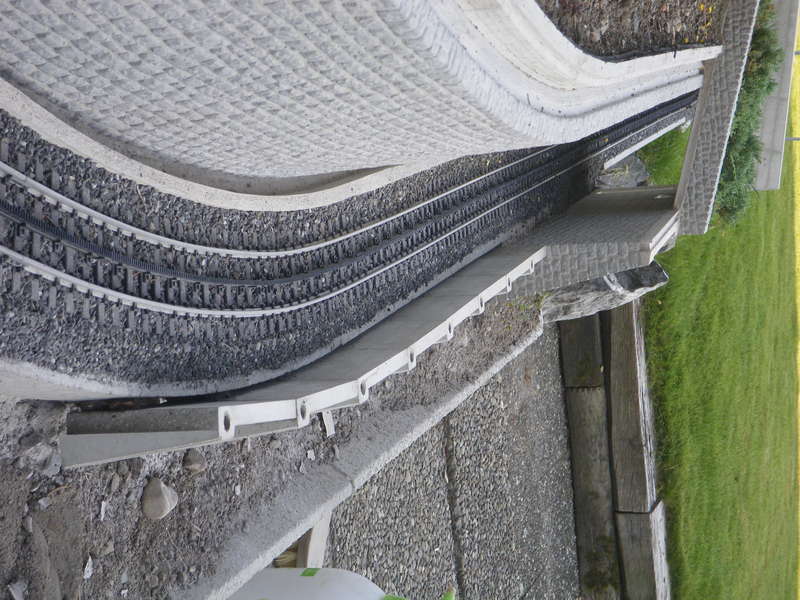 IMGP1987
