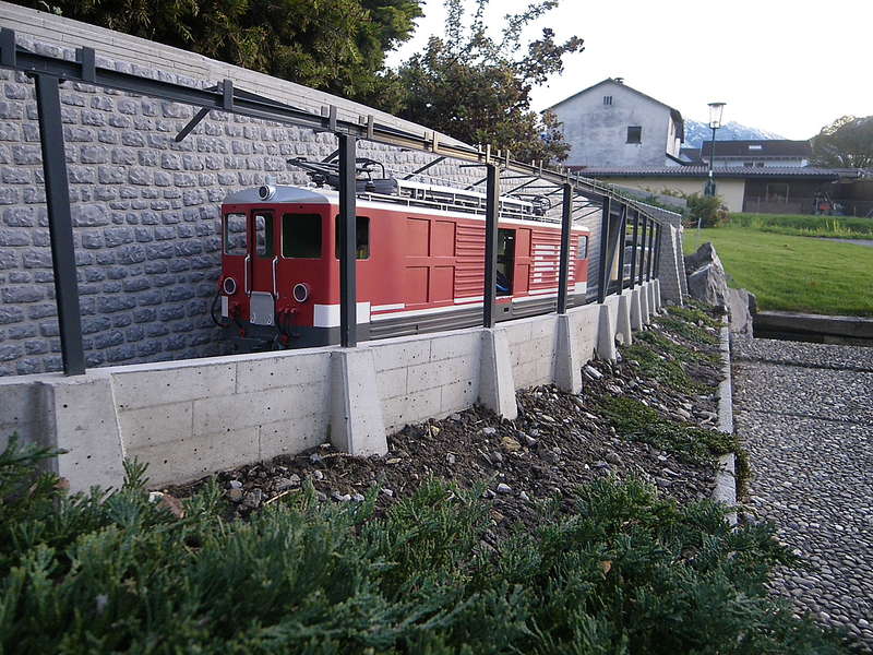 IMGP2225