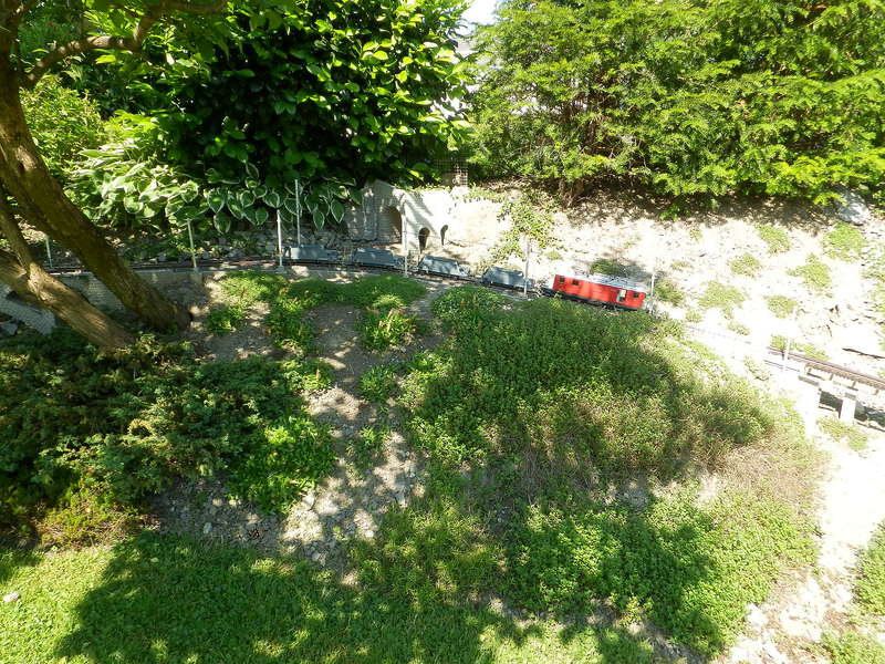 P6040035