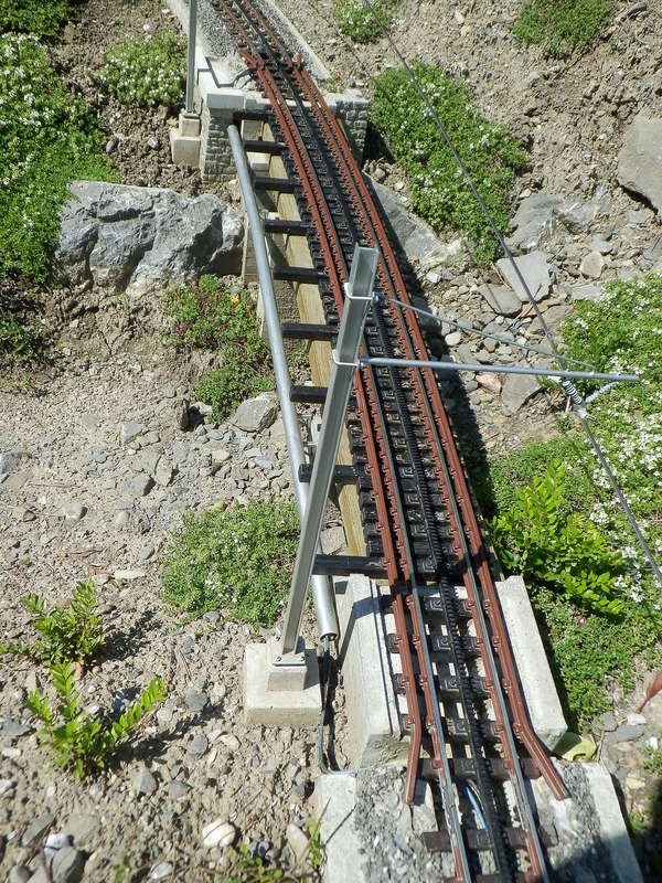 P6040037