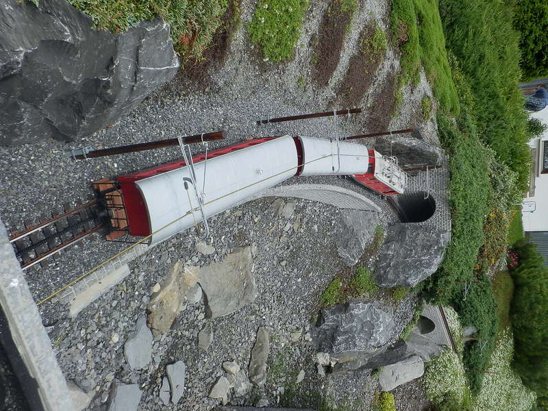 P6040421