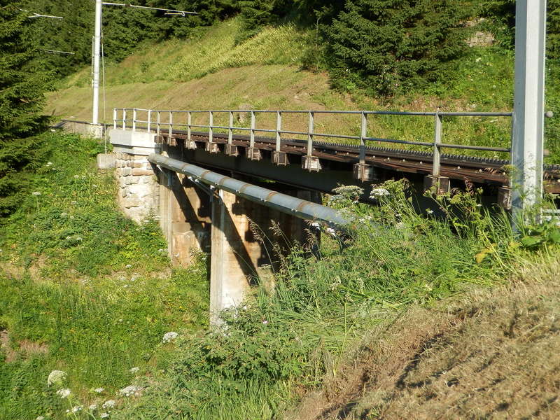 P7270020