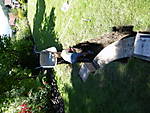 4840IMGP0104.JPG