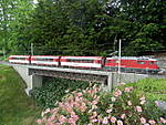 4840P5280399.JPG