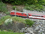 4840P5280413.JPG