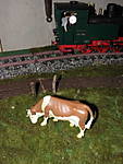 3266PA200056.JPG